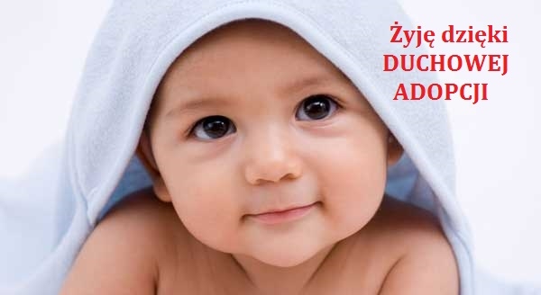 adopcja